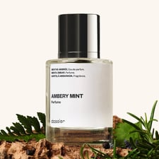 Ambery Mint Aromatic Fougere-Warm Aromatic