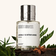 Aromatic Star Anise-Aromatic Fougere-Fresh Aromatic