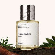 Citrus Ginger-Aromatic Fougere-Fresh Aromatic